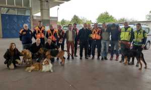 bloodhound cameri