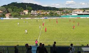 briga juventus domo