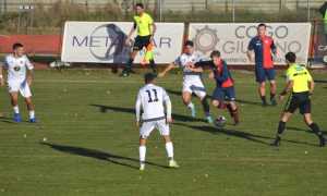 bule accademia