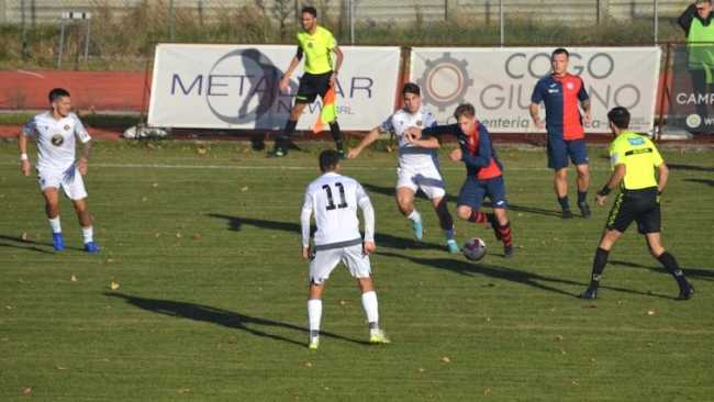 bule accademia