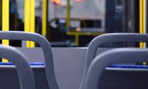 bus interno