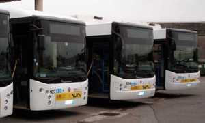 bus sun