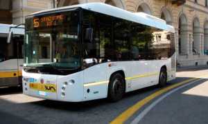 bus sun novara