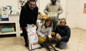 cagnolina sindaco