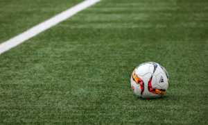 calcio pallone campo
