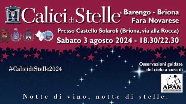 calici stelle 24