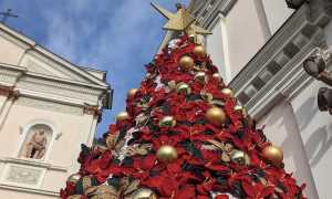 cameri albero uncinetto