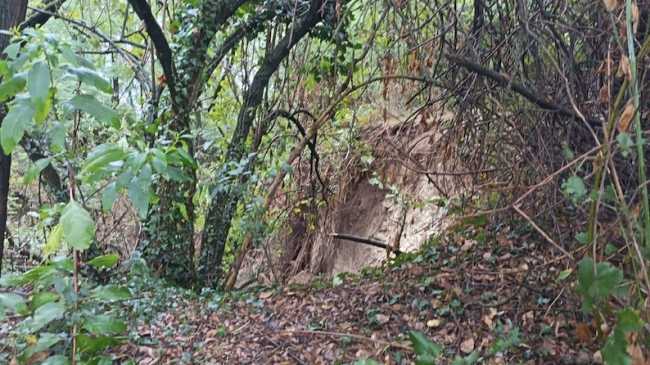 cameri movimento franoso parco ticino