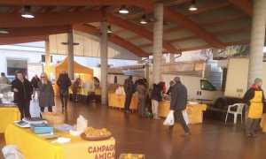 campagna amica no