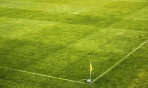 campo calcio bandierina