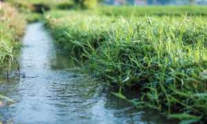 canale irrigazione