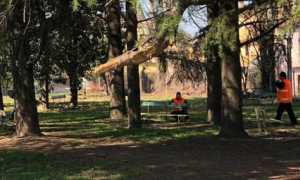 cantieristi parchi