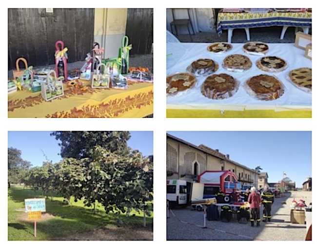 cascina graziosa raccolto