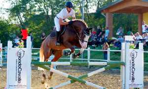 centro ippico caltignaga salto cavallo