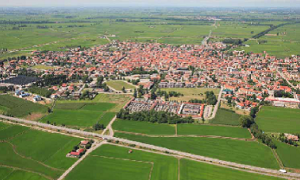 cerano