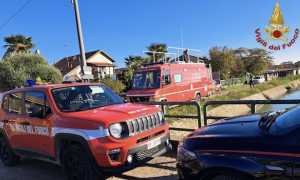 cerano ricerche