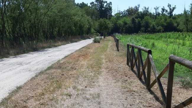 ciclabile oleggio