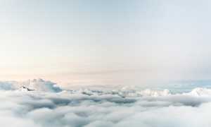 cielo