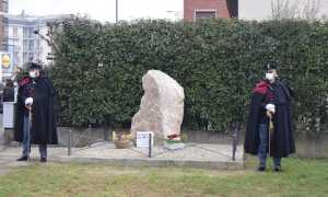 cippo franco