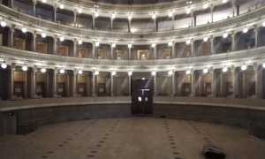 coccia 1