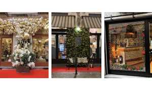 concorso vetrine novara