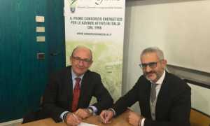 consorzio s giulio