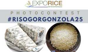 contest riso e gorgonzola 25