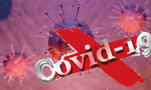 covid rossa 19 si