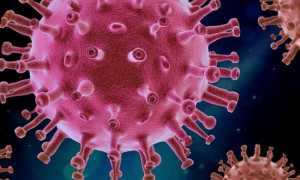 covid virus rosso