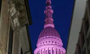 cupola rosa