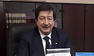 d andrea foto