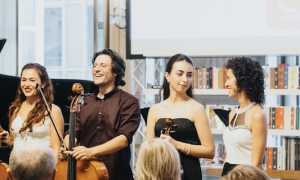 dedalo musica