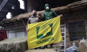 donazione fieno