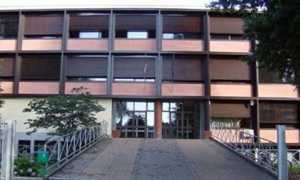 fauseringresso