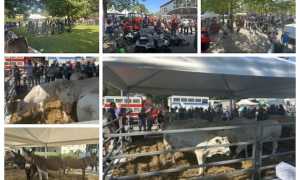 fiera agricola oleggio 2025