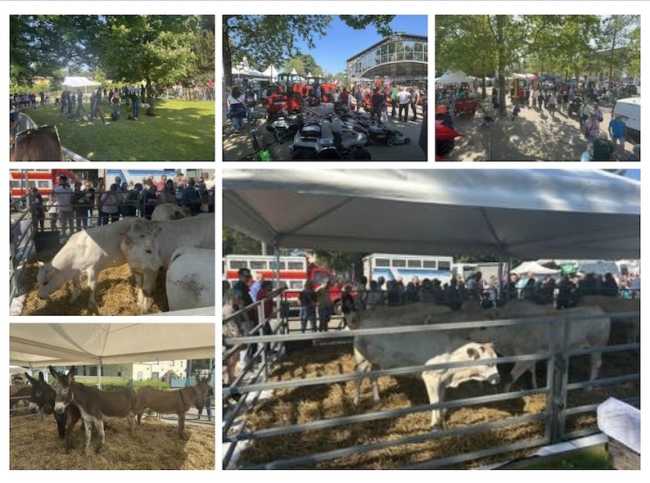 fiera agricola oleggio 2025