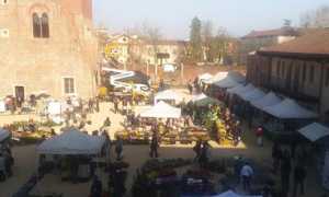 fiorissimo 1