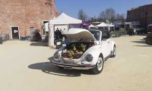 fiorissimo 1