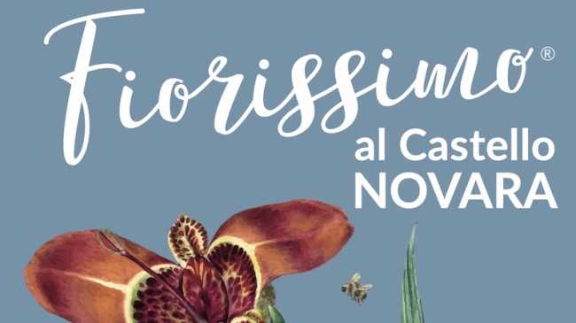 fiorissimo 25