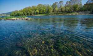 fiume