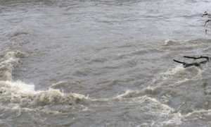 fiume piena