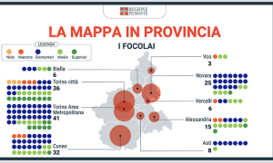 focolai 14 12 21