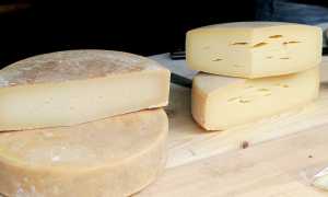formaggio toma