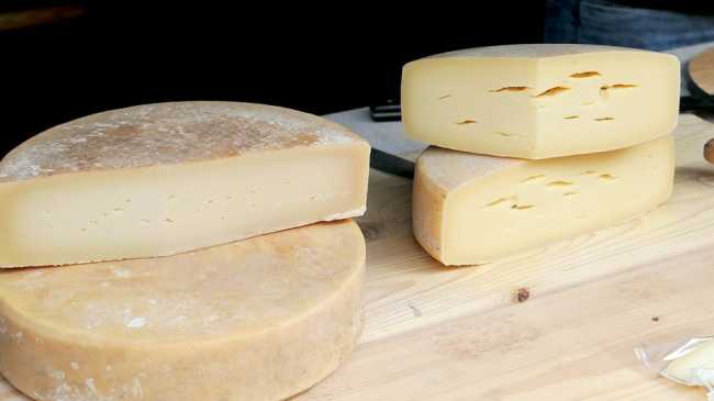 formaggio toma