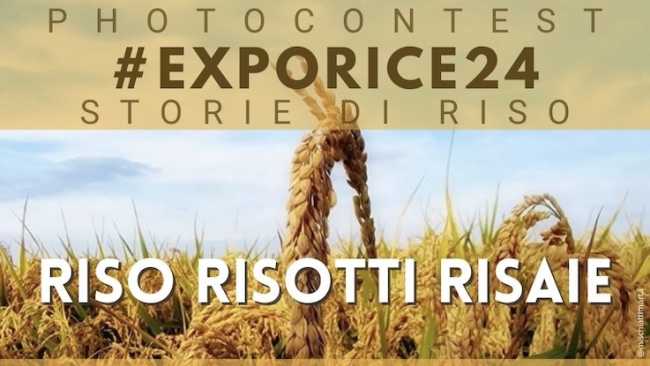 foto contest exporice 24