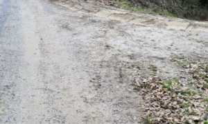 foto strade bianche