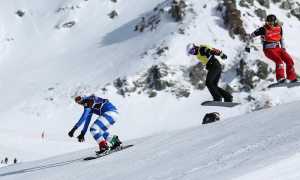 francesca gallina 16febbriao