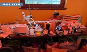 giovane lab dorga novara