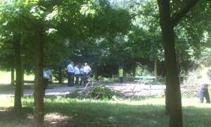 giubertoni fine lavori