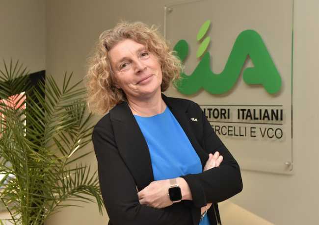 giuse fioramonti